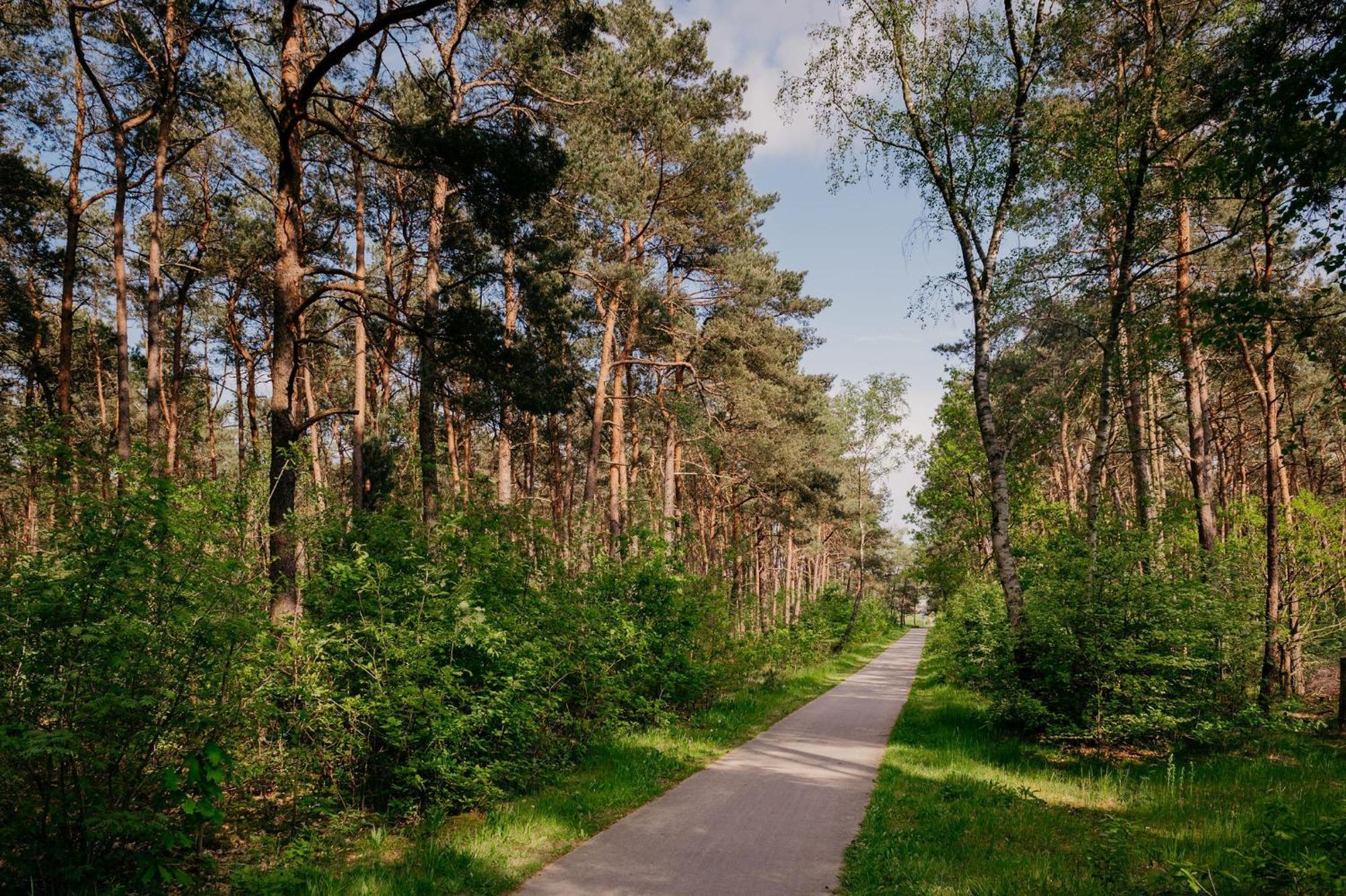 Lodge Goudvink Nunspeet Veluwe Extérieur photo